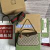 GG Ophidia Small Handbag 735132