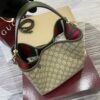 GG Emblem Small Bucket Bag 815103-1