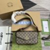 GG Ophidia Mini Bag for Women 764961