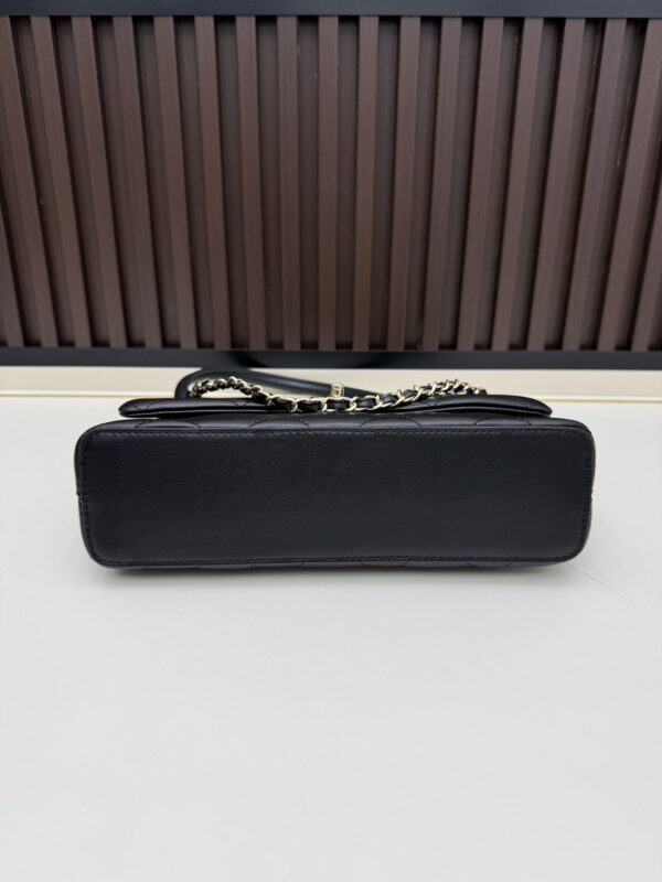 Iconic CN Handbag 09171
