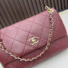 Iconic CN Handbag 09171
