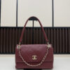 Iconic CN Handbag 09171