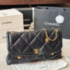Modern Style Trendy Bag C4100