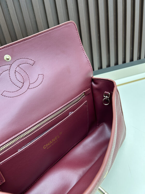 Iconic CN Handbag C013