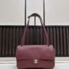 Iconic CN Handbag C013