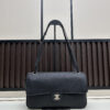Iconic CN Handbag C013