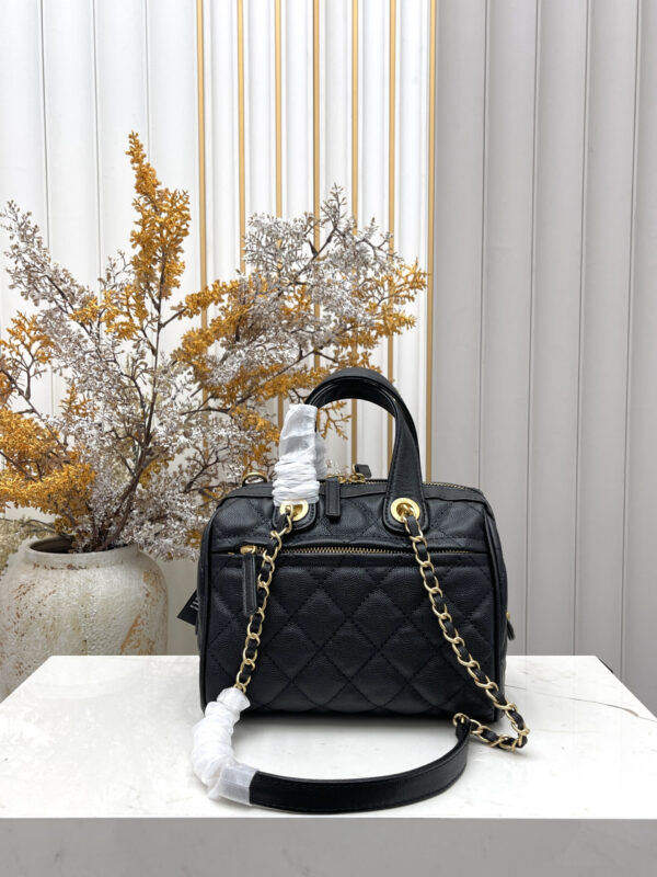 Iconic CN Handbag C003