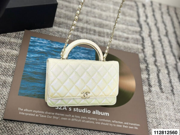 Modern Style Trendy Bag C4067