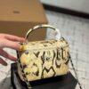Modern Style Trendy CN Handbag C756