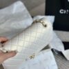 Modern Style Trendy Bag C4009
