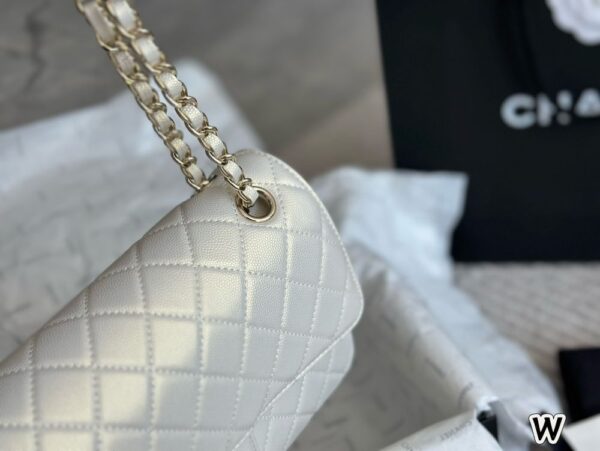 Modern Style Trendy Bag C4009