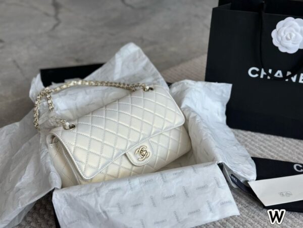 Modern Style Trendy Bag C4009