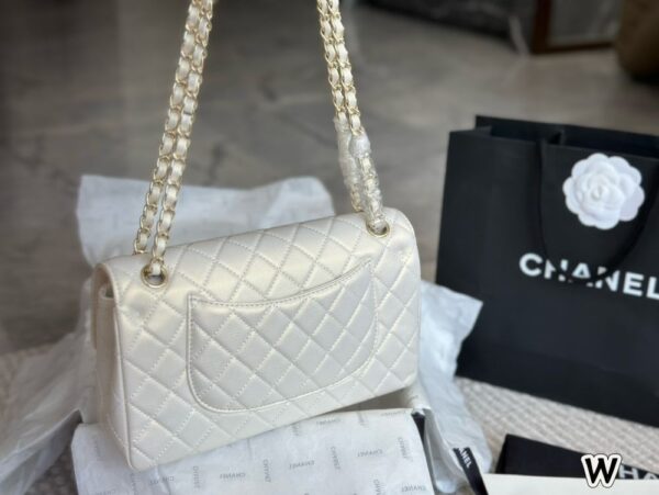 Modern Style Trendy Bag C4009