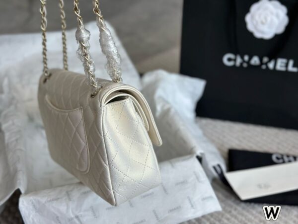 Modern Style Trendy Bag C4009