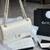 Modern Style Trendy Bag C4009