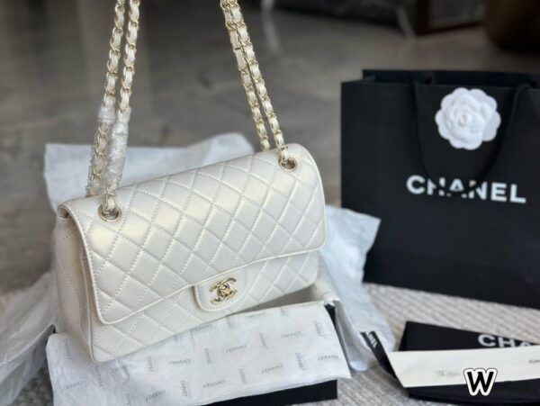 Modern Style Trendy Bag C4009
