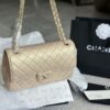 Modern Style Trendy Bag C4009