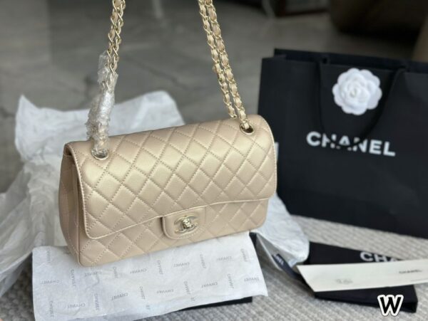 Modern Style Trendy Bag C4009