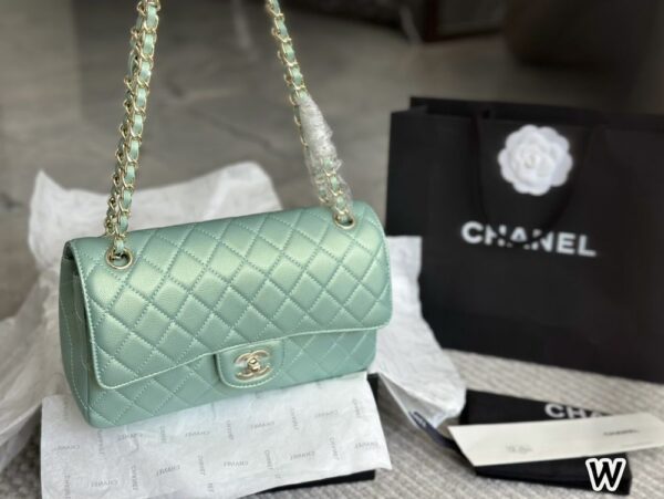 Modern Style Trendy Bag C4009