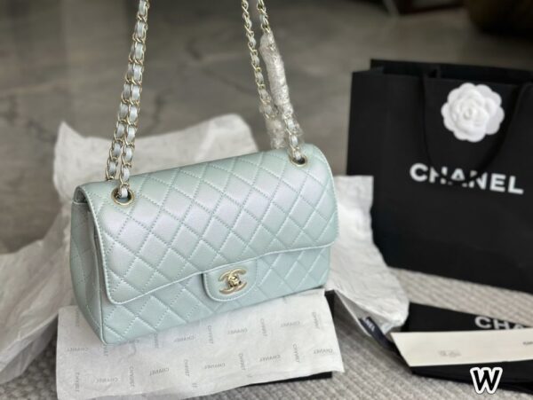 Modern Style Trendy Bag C4009