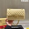 Modern Style Trendy Bag C3925