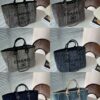 Modern Style Trendy Bag C3810