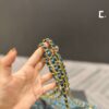 Modern Style Trendy Bag C3474-1