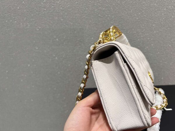 Modern Style Trendy Bag C3448