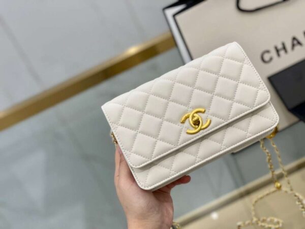Modern Style Trendy Bag C3411