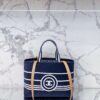 Modern Style Trendy Bag C3385