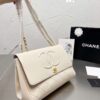 Modern Style Trendy Bag C3100