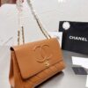 Modern Style Trendy Bag C3100
